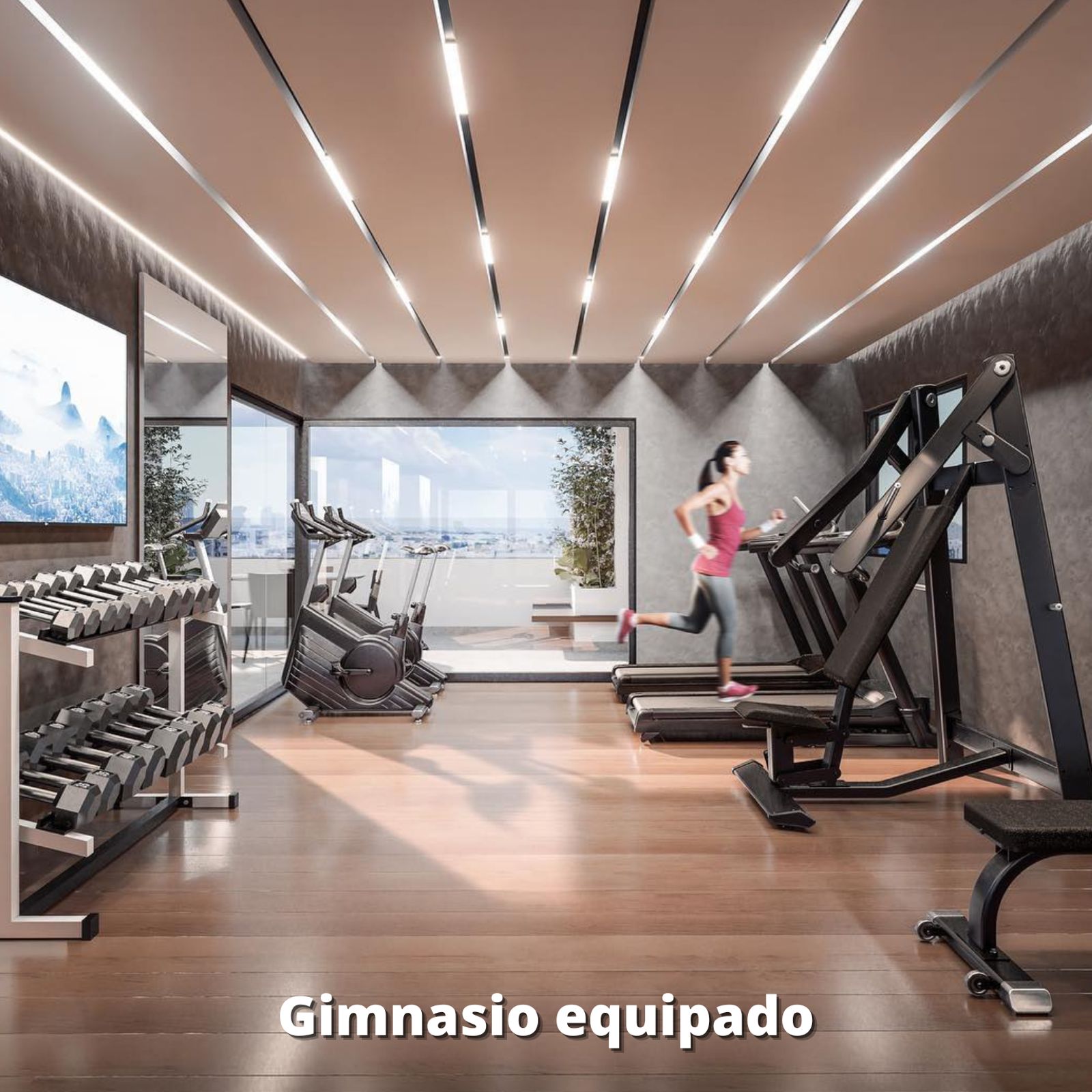 gym-7