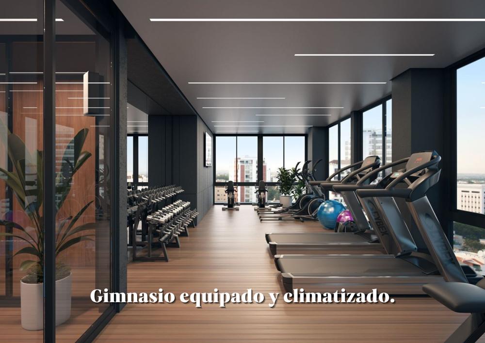 gym-icono
