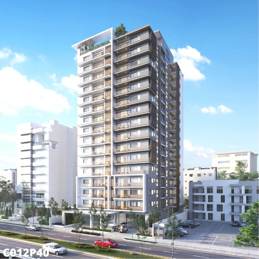 portada-elsa-sarasota-1