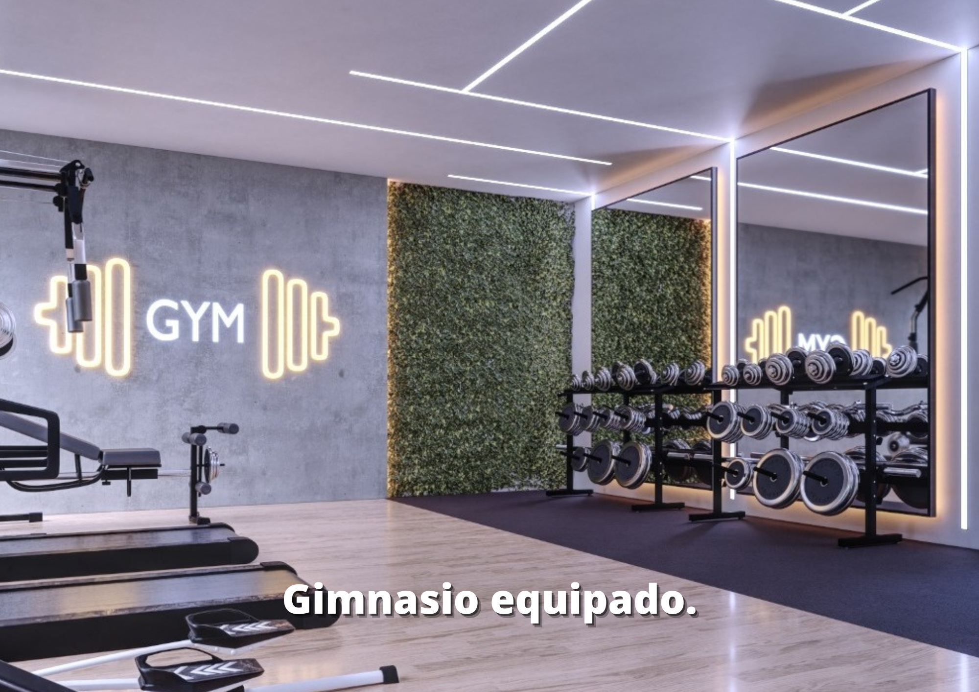 gimnasio-cipres