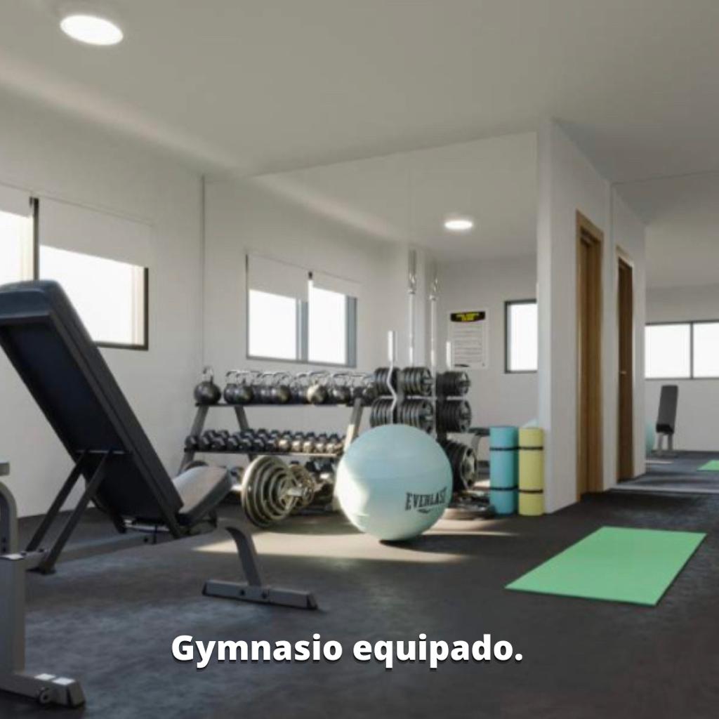 gym-miguel-angel